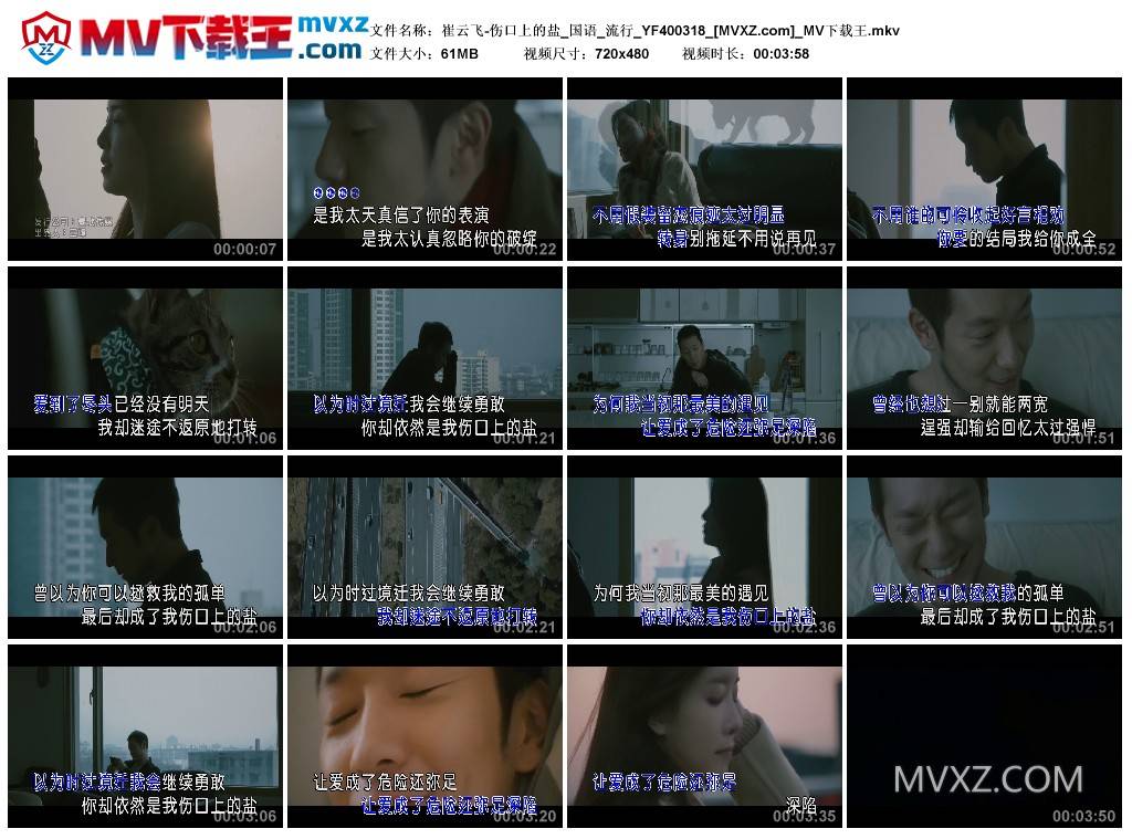 崔云飞-伤口上的盐_国语_流行_YF400318